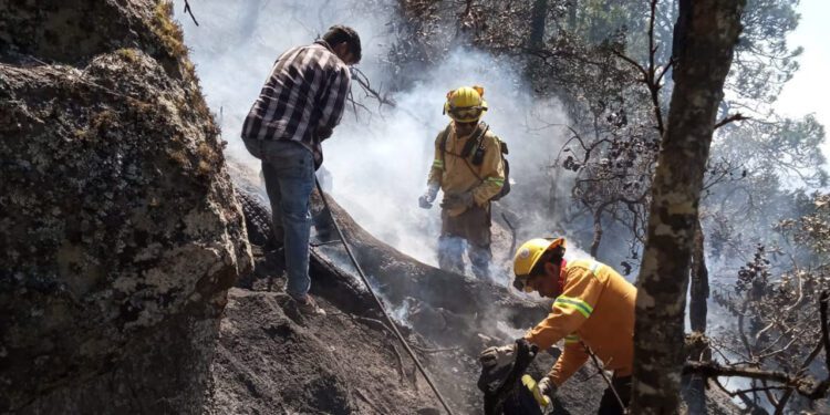 Incendios queman 8 mil 289 veces la superficie de El Llano