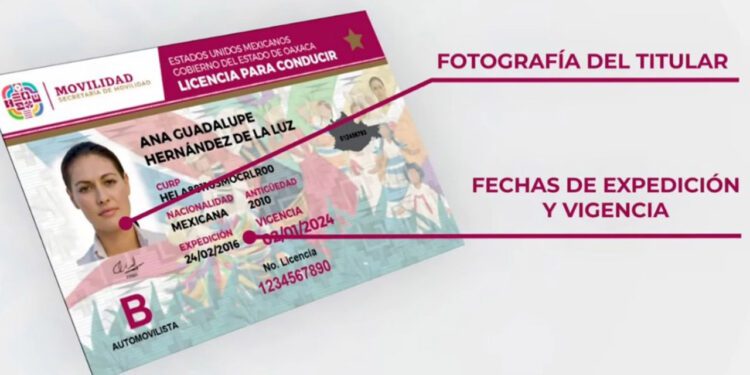Dados cargados en licitación de licencias para conducir