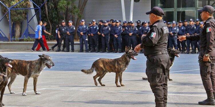Los policías hicieron una demostración del entrenamiento con los caninos.