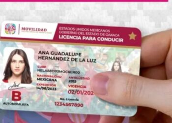 ¿Cuánto cuesta el pvc “base” de licencia?; tras queja de empresa que se retiró del concurso, concretan fallo de una licitación a modo