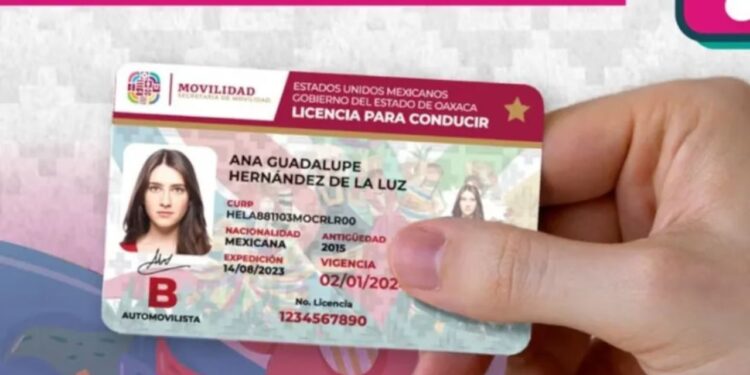 ¿Cuánto cuesta el pvc “base” de licencia?; tras queja de empresa que se retiró del concurso, concretan fallo de una licitación a modo