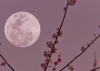 ¡No te la pierdas! Microluna luna llena este 12 de mayo