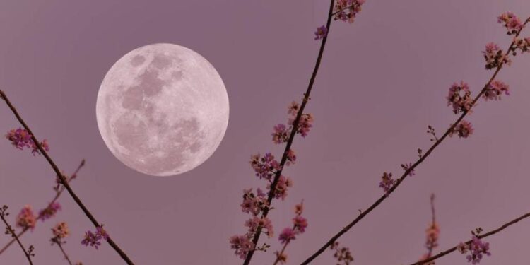 ¡No te la pierdas! Microluna luna llena este 12 de mayo