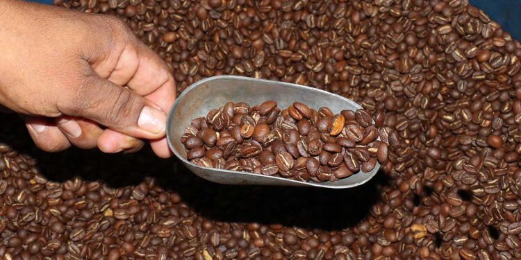 Foto: Archivo El Imparcial // De acuerdo a organismos nacionales, el precio del café tuvo un incremento por la caída en su producción mundial, sobre todo en zonas donde hubo severas sequías.