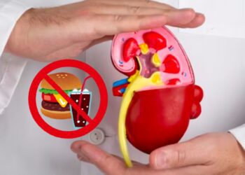 Cuidados esenciales para tus riñones: Alimentos que debes evitar para protegerlos
