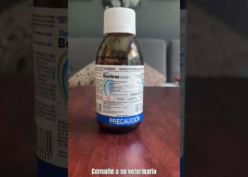 Foto: ilustrativa // Se halló un recipiente con Bovitraz, un producto químico utilizado como plaguicida.