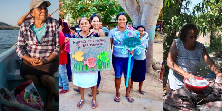 Restauración comunitaria en la Laguna de Chacahua: mujeres afro-mexicanas defienden su ecosistema