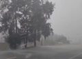 Foto: cortesía // Una tormenta con fuertes vientos provocó apagones este viernes en Tlacolula.