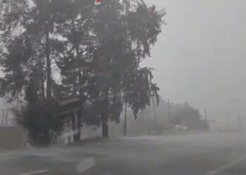 Foto: cortesía // Una tormenta con fuertes vientos provocó apagones este viernes en Tlacolula.