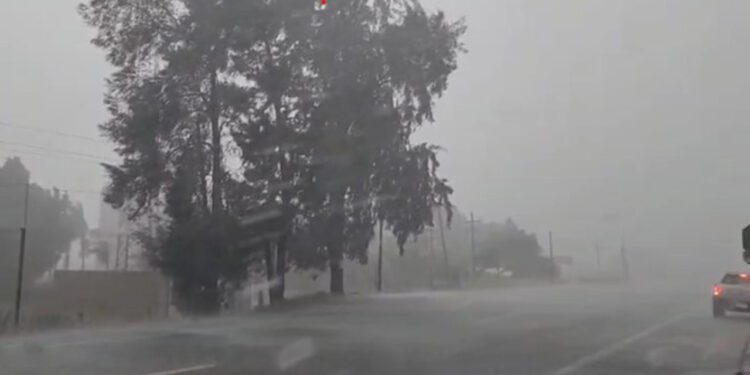 Foto: cortesía // Una tormenta con fuertes vientos provocó apagones este viernes en Tlacolula.