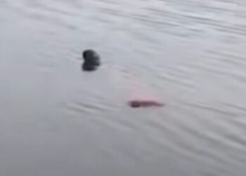 ¡El sustento que no volvió! Pescador muere tras tormenta en laguna de Santa María Xadani