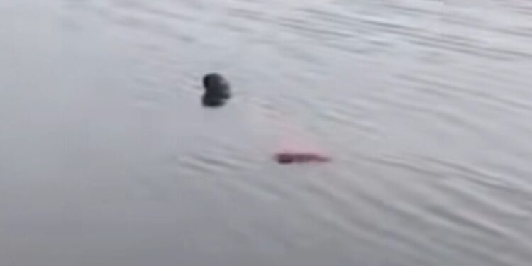 ¡El sustento que no volvió! Pescador muere tras tormenta en laguna de Santa María Xadani