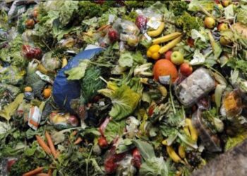 México tira lo que no puede comer: la paradoja alimentaria que el país sigue sin resolver