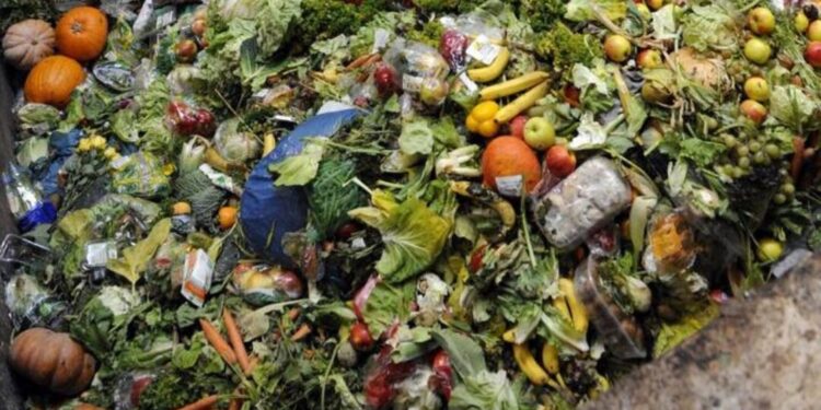México tira lo que no puede comer: la paradoja alimentaria que el país sigue sin resolver