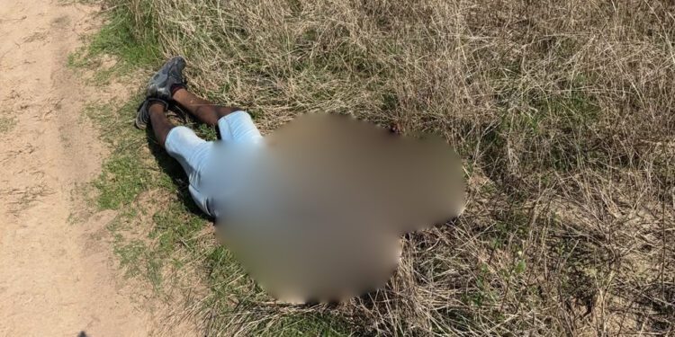 Tras macabro hallazgo, investigan asesinato de hombre en camino rural de San Blas Atempa