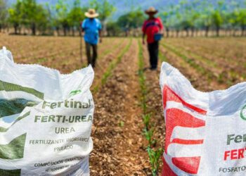 Inicia entrega de fertilizantes a 200 mil campesinos de Oaxaca