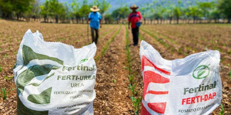 Inicia entrega de fertilizantes a 200 mil campesinos de Oaxaca