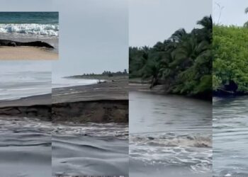 VIDEO ¡Riesgo en las playas! Alertan por cocodrilos arrastrados por lluvias en la Costa de Oaxaca