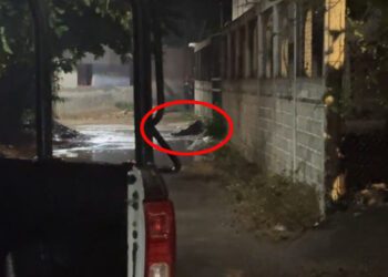 ¡Ejecutan a mujer! Mientras presumen detenciones, el plomo sigue hablando en las calles en Juchitán