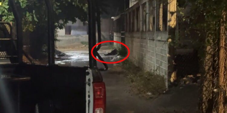 ¡Ejecutan a mujer! Mientras presumen detenciones, el plomo sigue hablando en las calles en Juchitán