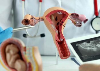 Foto: ilustrativa // En 2023, de acuerdo al último registro actualizado del sector salud, Oaxaca notificó 92 muertes por cáncer de ovario.