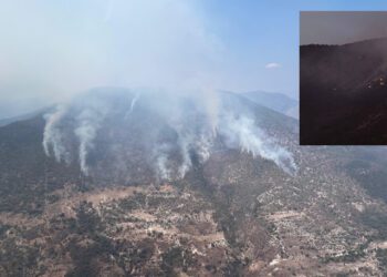 ¡Arde el legado de miles de años! Incendios devoran reserva protegida por la UNESCO