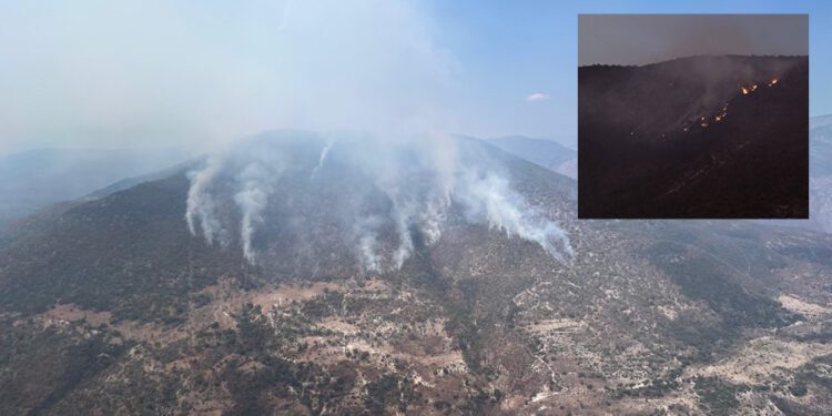 ¡Arde el legado de miles de años! Incendios devoran reserva protegida por la UNESCO