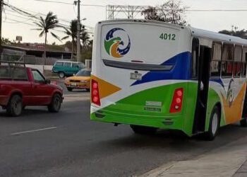 Pasajera sufre aparatosa caída al descender de autobús en Tehuantepec
