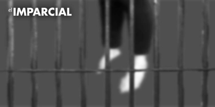 Foto: ilustrativa // En suicidios, la entidad reportó un caso en 2024 en el Centro Penitenciario de Santo Domingo Tehuantepec.