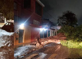 Informan afectaciones por lluvias registradas este sábado en Oaxaca