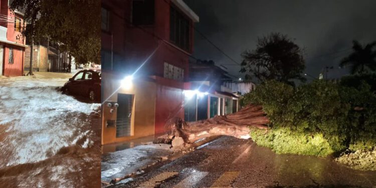 Informan afectaciones por lluvias registradas este sábado en Oaxaca