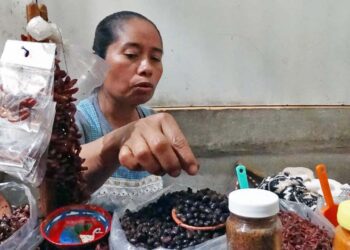 Fotos: Jesús Santiago // Obdulia Santiago se dedica a la venta de algunos de los alimentos de mayor tradición para los oaxaqueños, incluyendo chicatanas.