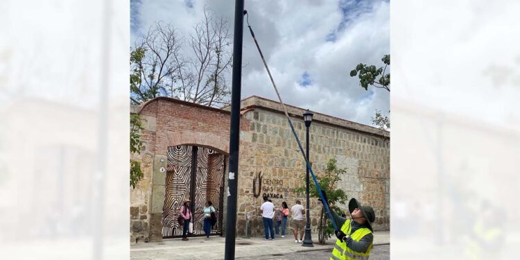 Foto: redes sociales // Personal municipal ya trabaja en el mantenimiento y embellecimiento de la ciudad capital.