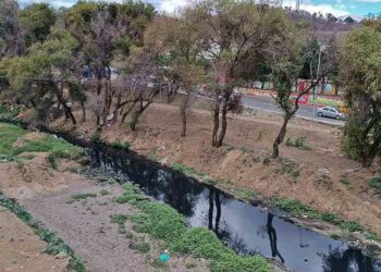 Vías de agua, bosques y parques de la Zona Metropolitana, los más afectados por falta de política pública.