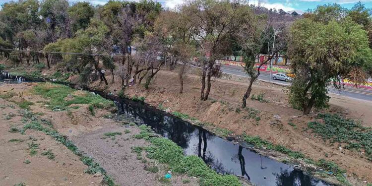 Vías de agua, bosques y parques de la Zona Metropolitana, los más afectados por falta de política pública.