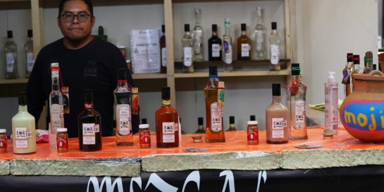 Según los mezcaleros oaxaqueños, la ampliación de origen representa una devaluación de sus productos.