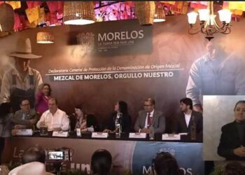 La Secretaria de Desarrollo Agropecuario de Morelos señala que hay 3,442 productores de agave en ese estado.