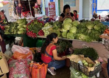 En 2024, hasta el segundo trimestre, Oaxaca presentaba una pobreza laboral en mujeres del 60.2%.