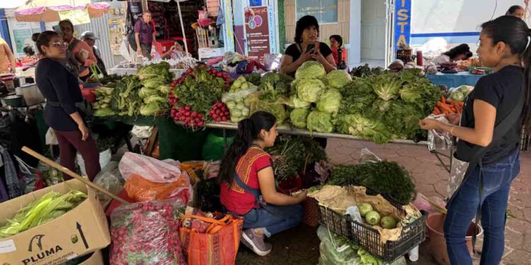 En 2024, hasta el segundo trimestre, Oaxaca presentaba una pobreza laboral en mujeres del 60.2%.