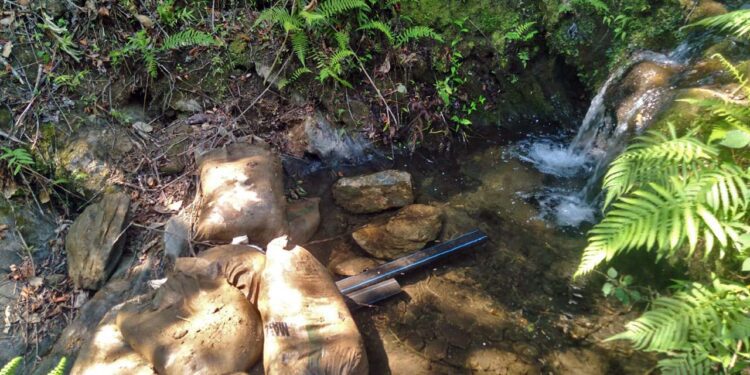 En los últimos años Huautla ha sufrido la escasez de agua.