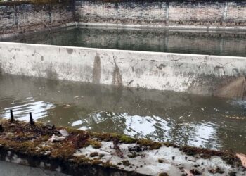 Asuntos como el agua, basura, salubridad, seguridad y vialidad, entre otros temas, se están atendiendo, indican.