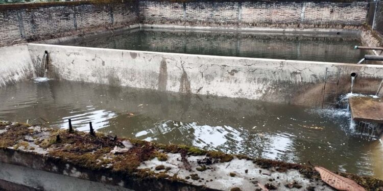 Asuntos como el agua, basura, salubridad, seguridad y vialidad, entre otros temas, se están atendiendo, indican.