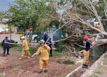 Implementan medidas preventivas por lluvias.
