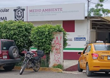 Foto: Lisbeth Mejía Reyes // Por ahora, se cuenta con suficientes certificados.