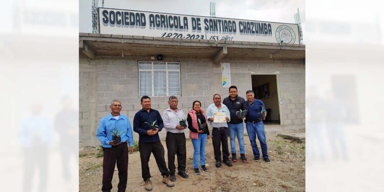 Este centro tendrá una capacidad para albergar a un aproximado de 50 niños.