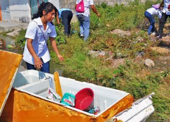 Recomiendan a la población reforzar las medidas preventivas para evitar el dengue.