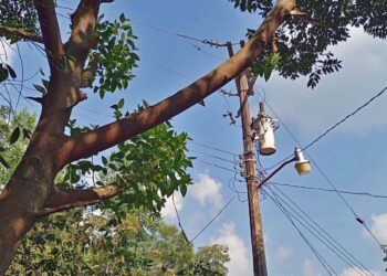Postes vencidos, cables de alta tensión sobre árboles y casas humildes que podrían causar incendios y tragedia humanas.