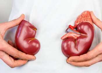 Foto: internet – ilustrativa // El carcinoma de células renales (RCC) es el tipo más común de cáncer renal en los adultos.