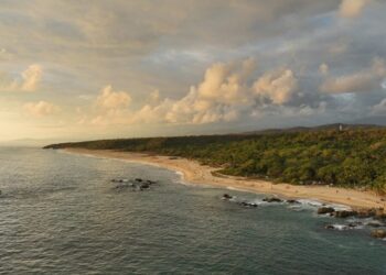 ¡Vuela, Vuela! van a Puerto Escondido 4 vuelos nacionales y uno desde Houston
