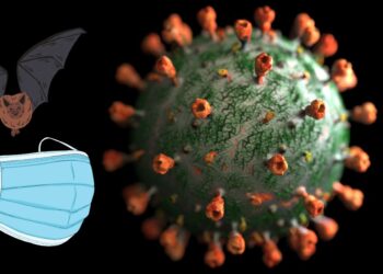 ¿Fuga de laboratorio o zoonosis? La OMS presiona a China por el origen del COVID-19